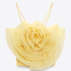 Zara Organza Flower Top